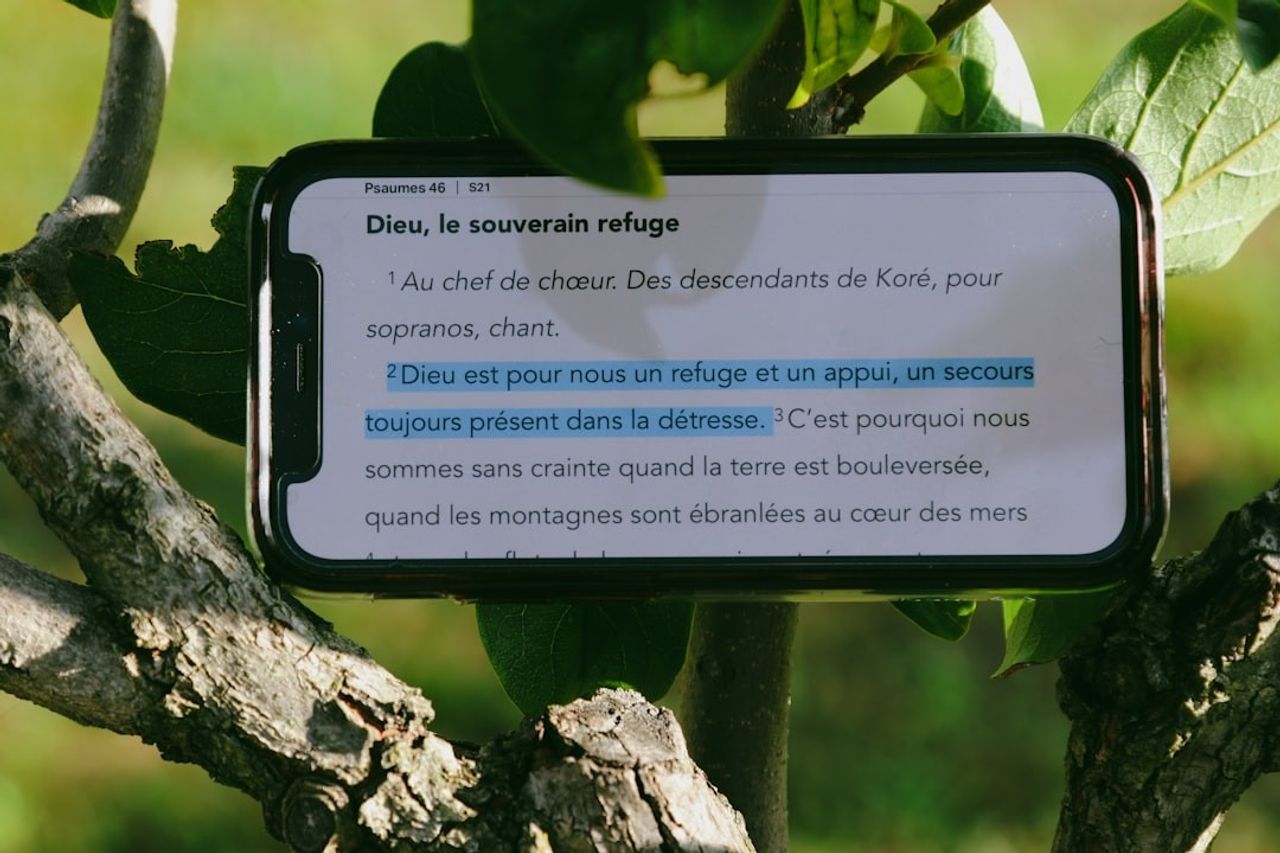 La diversité en entreprise : votre atout stratégique pour un futur résilient