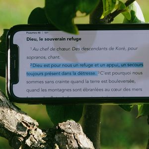 La diversité en entreprise : votre atout stratégique pour un futur résilient