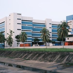 Donnez vie à vos idées : l'art du dessin vectoriel avec Illustrator