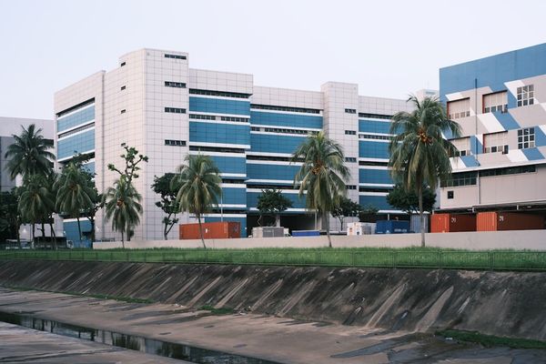 green palm trees near white concrete building during daytime