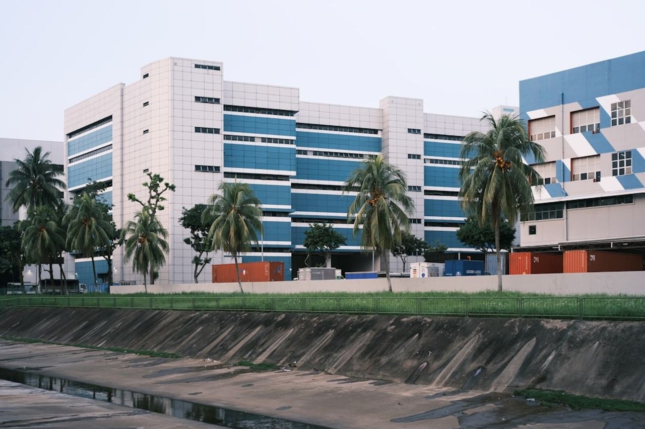 Donnez vie à vos idées : l'art du dessin vectoriel avec Illustrator