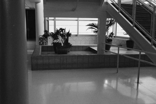 Indoor atrium with plants and stairs