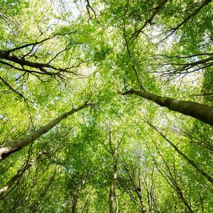 CSRD : Le nouveau cap de la durabilité façonne l'avenir de votre entreprise