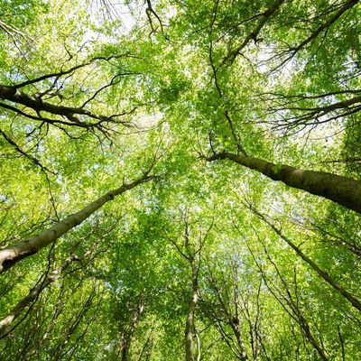 CSRD : Le nouveau cap de la durabilité façonne l'avenir de votre entreprise