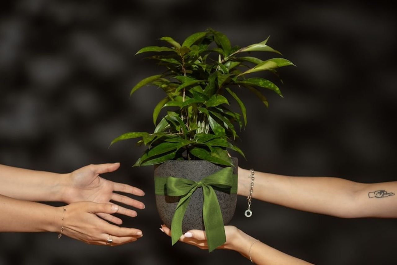 Déconnexion numérique : Le droit qui réenchante nos vies professionnelles