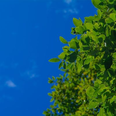 Droit à la déconnexion : Réconcilier performance et bien-être à l'ère numérique