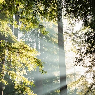 Le coût invisible du silence en entreprise : Agir avant qu'il ne soit trop tard
