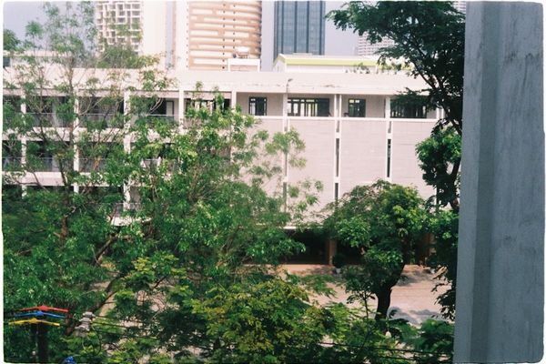 green trees near white concrete building during daytime