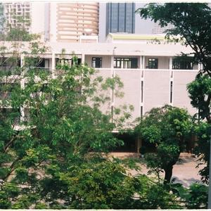 Au-delà des quotas : Construire une inclusion sincère et durable pour tous