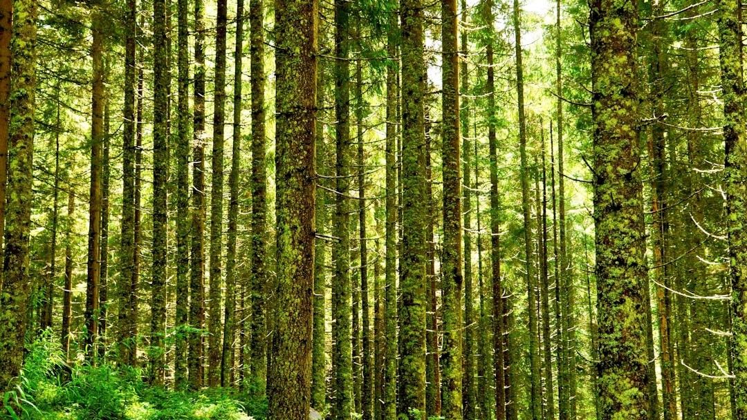 Votre empreinte compte : Devenez l'architecte d'un futur durable avec la RSE