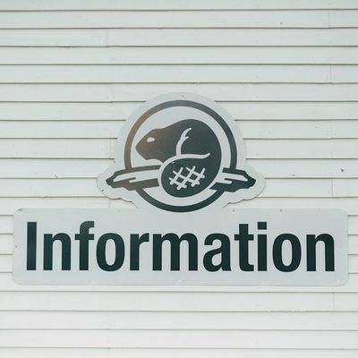 Le Schéma Directeur SI : Votre boussole pour naviguer dans l'océan numérique