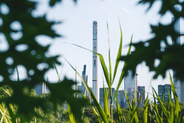 a view of a tall building through some grass