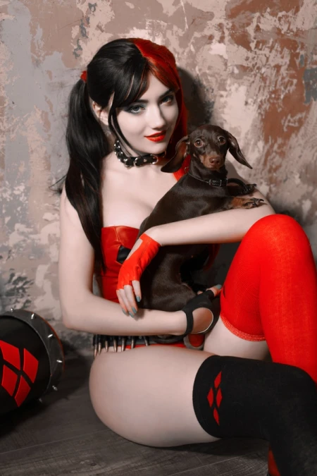 preview for Harley Quinn (New 52 Outfit)