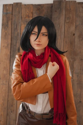 Mikasa Ackerman - 1
