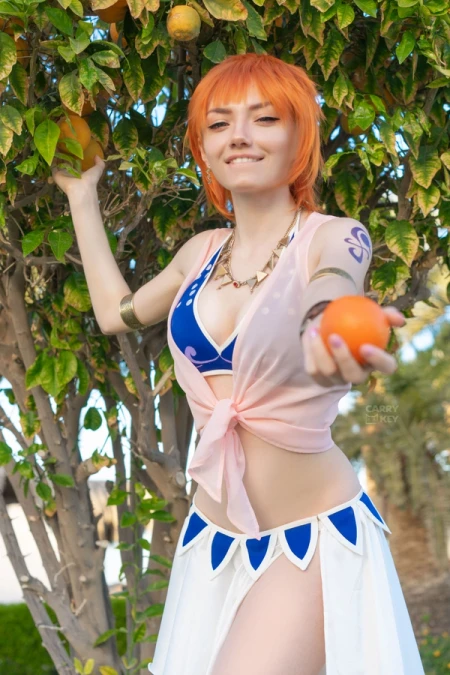 preview for Nami (Alabasta Outfit)