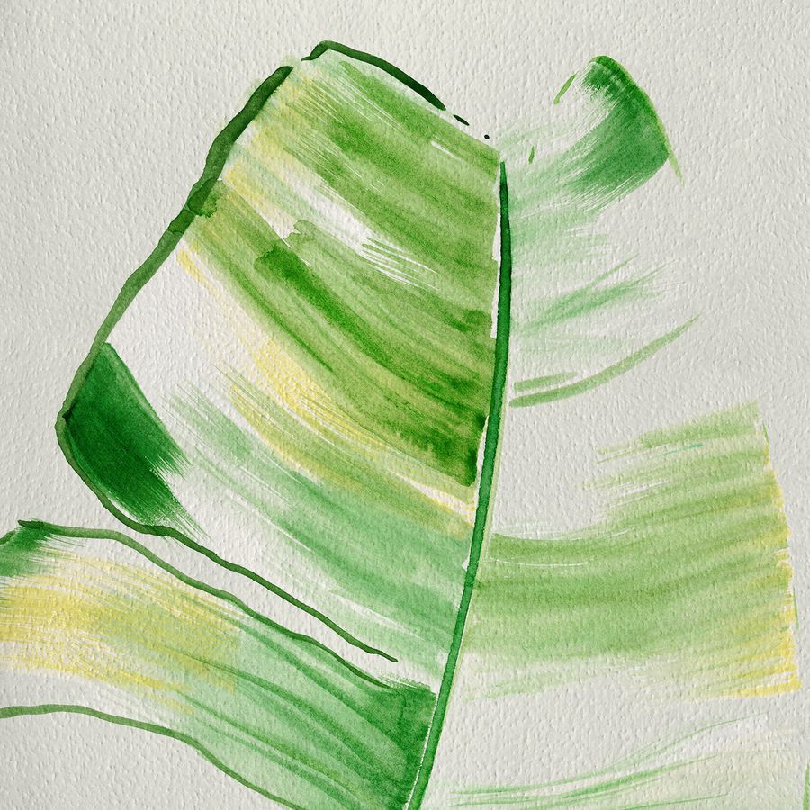 MUSA (Paradiso Collection)