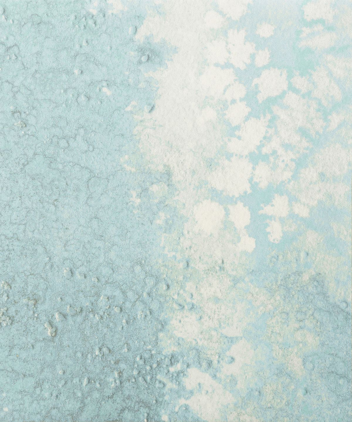 SHOAL (Oceania Collection)