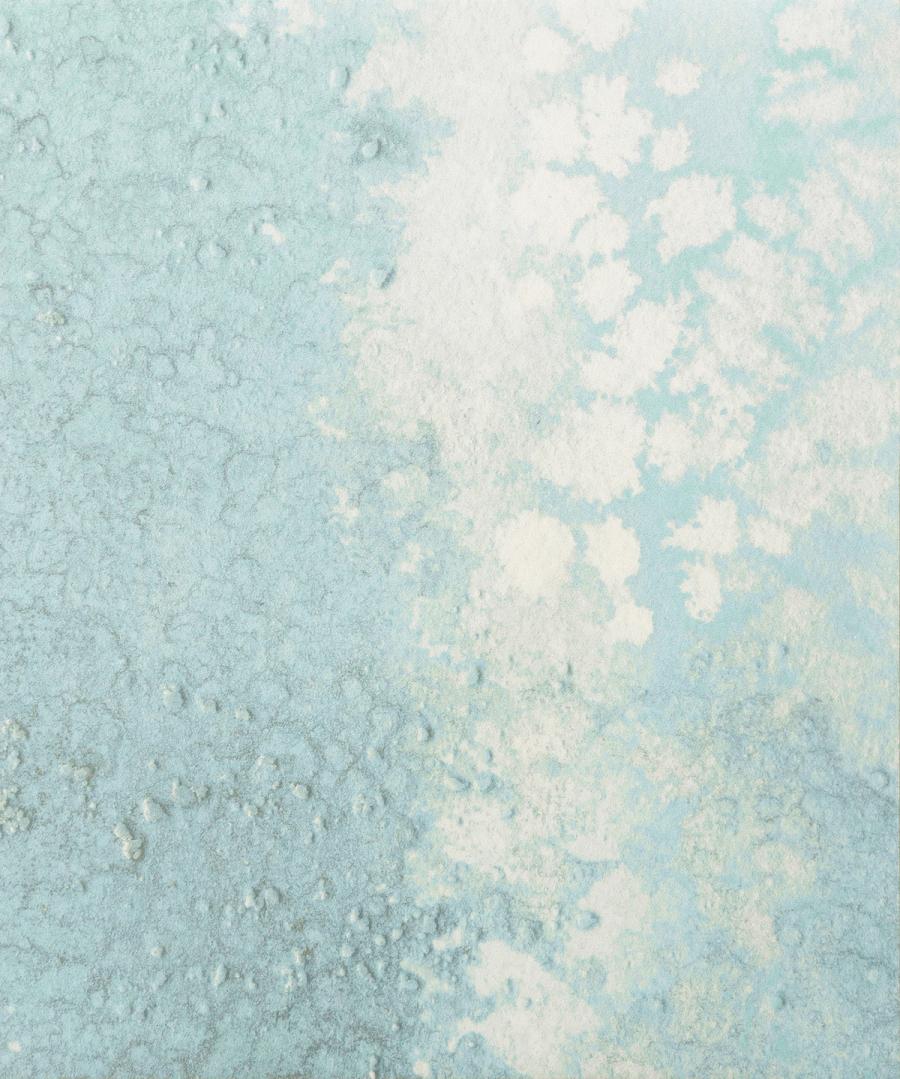 SHOAL (Oceania Collection)
