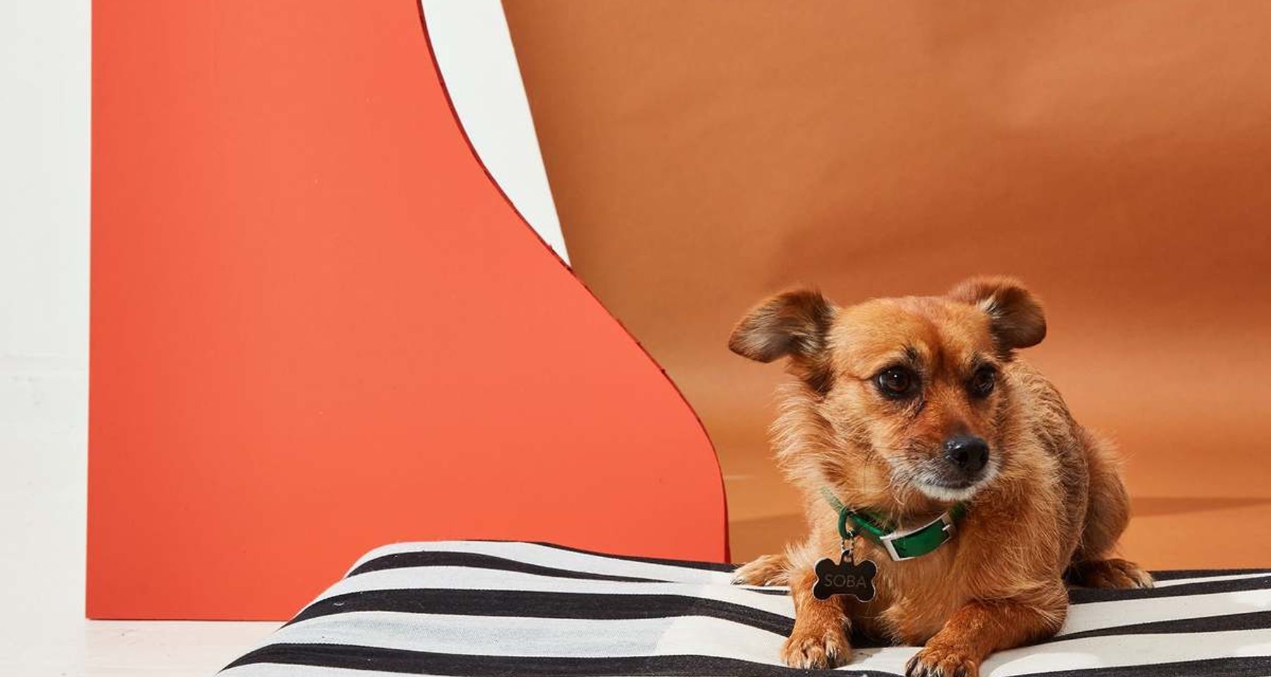 Pepper Dog Bed by MINNA Goods
