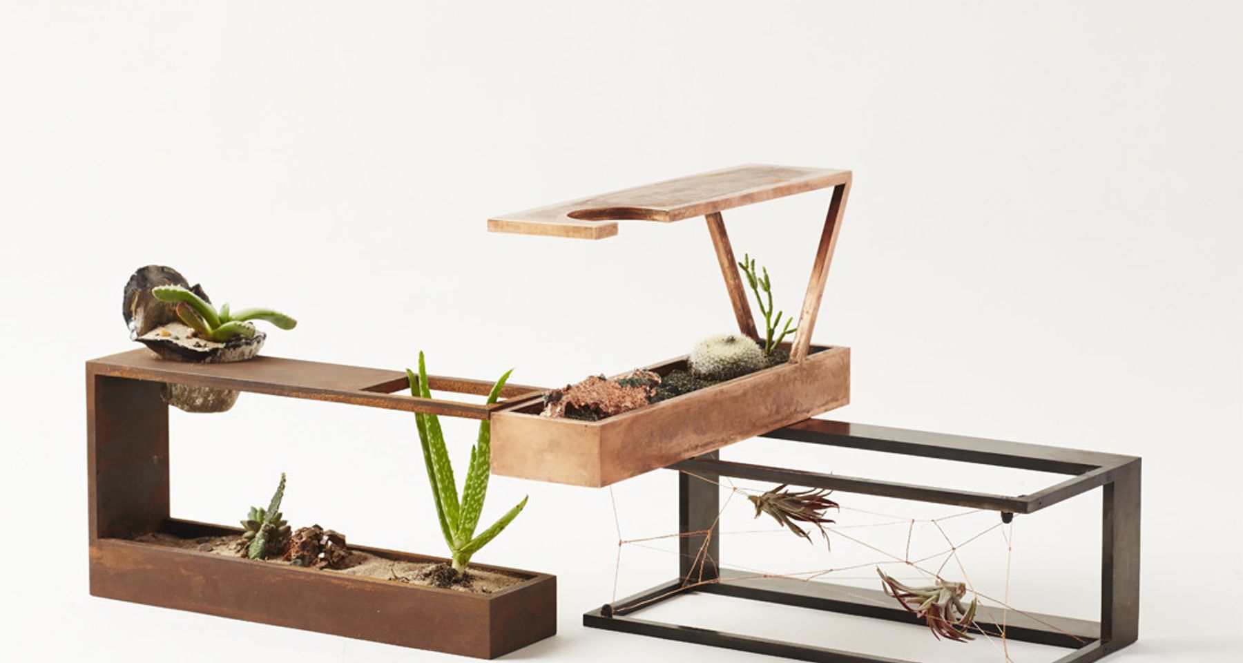 Mini II - Mobius Terrarium  by Plant-In City