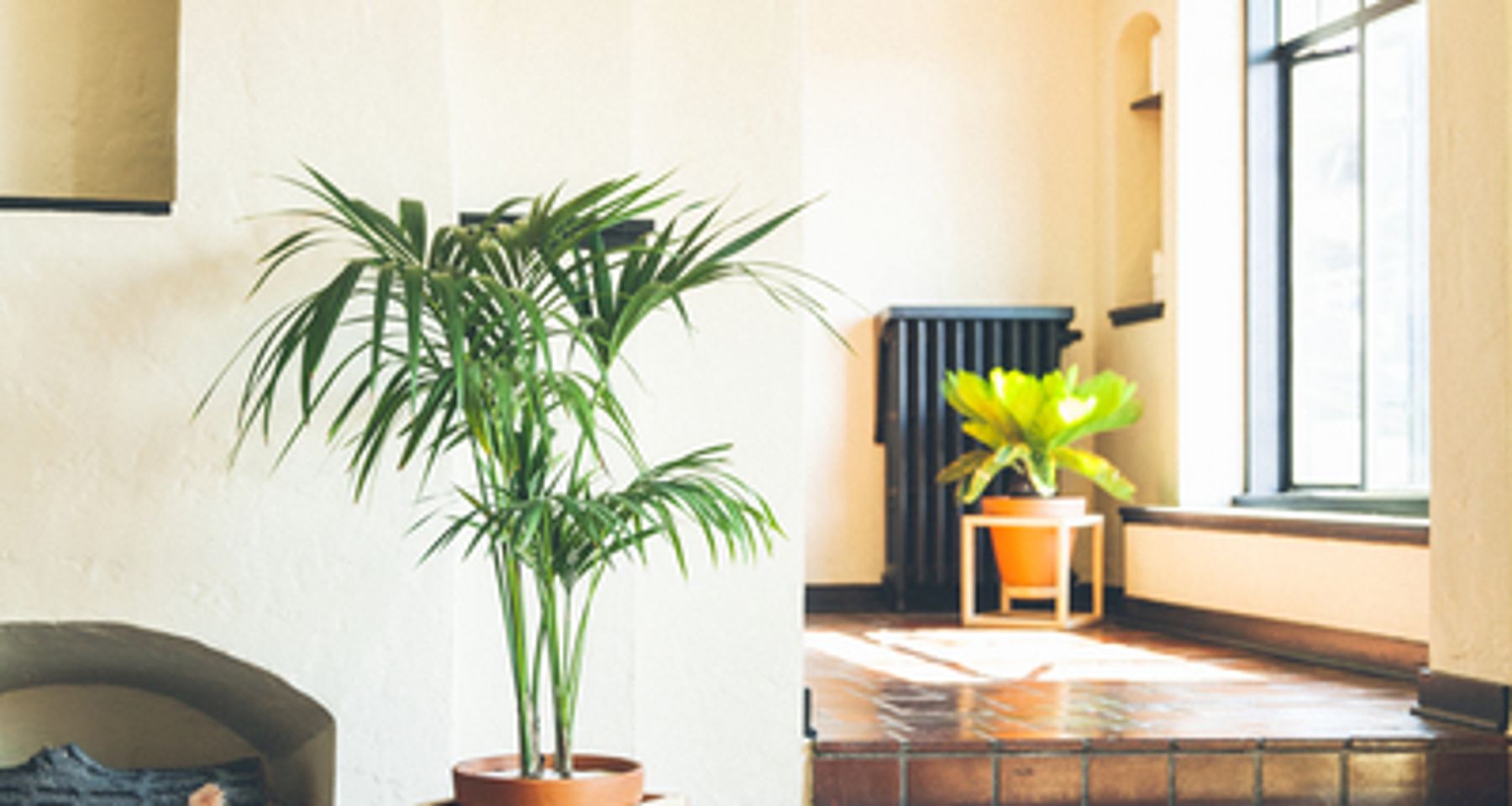 Frame Planter Tall by Trey Jones Studio