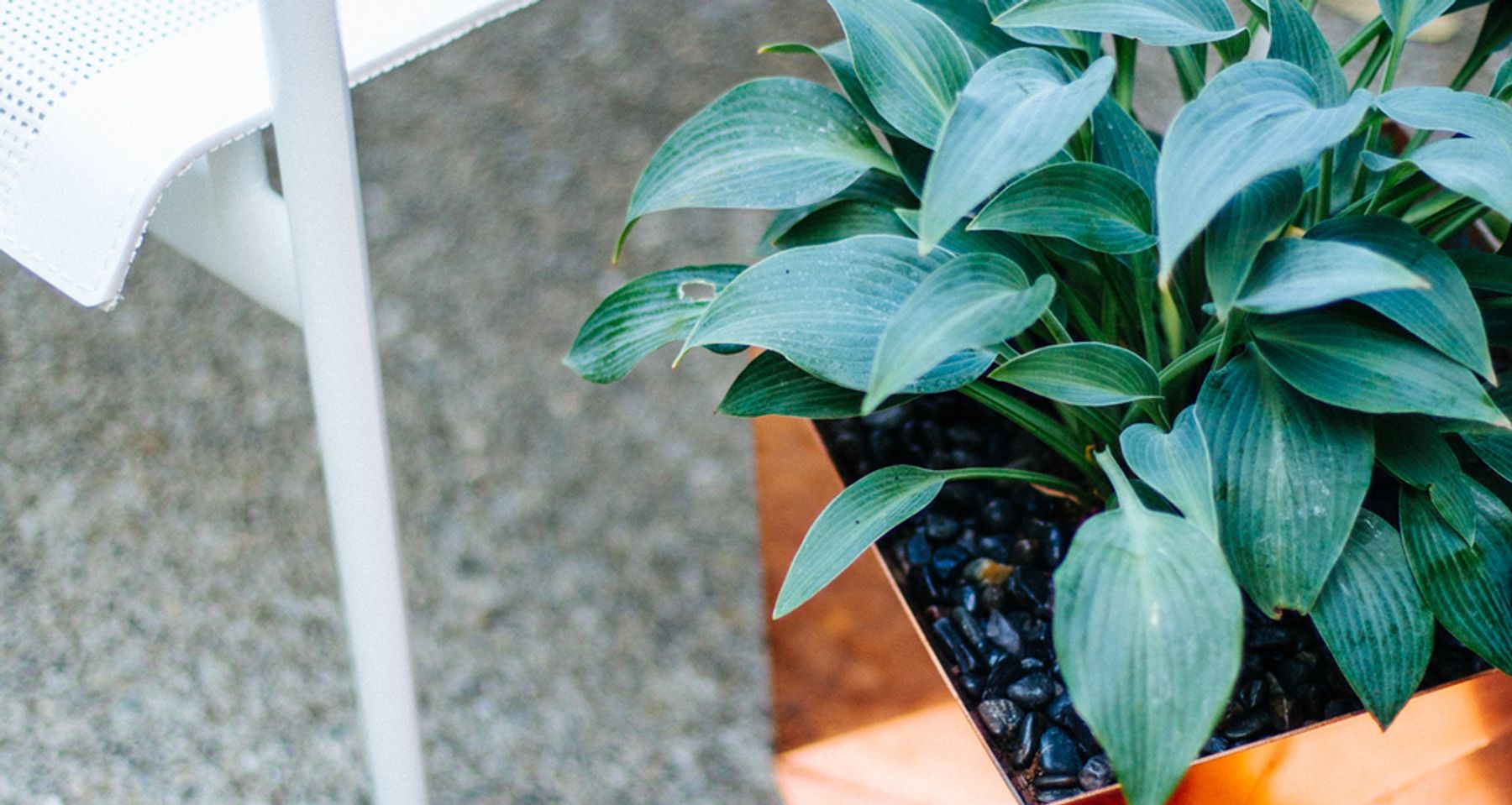 Origami Planter Copper by Trey Jones Studio