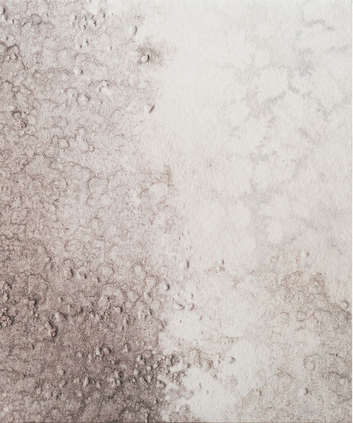 FJORD (Oceania Collection)