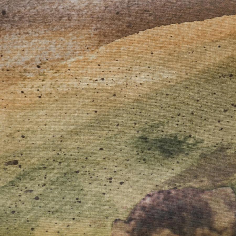 Moors (Woodlands, Fields, Moors Collection)