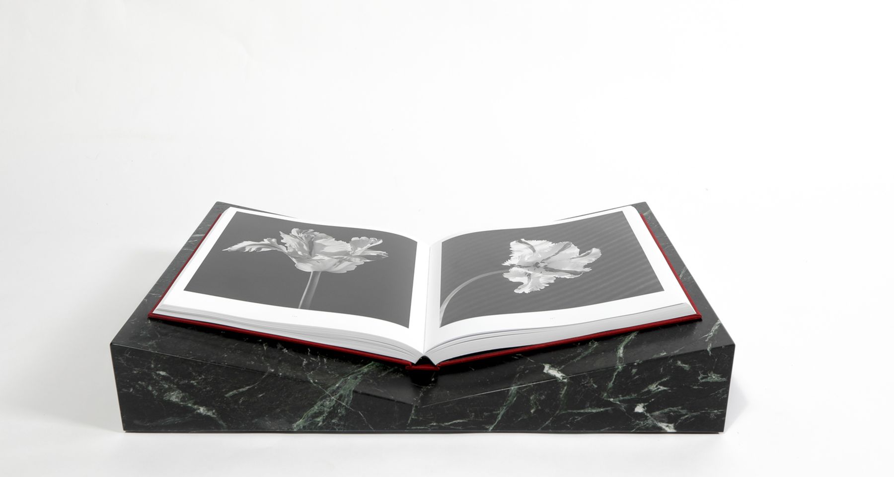 Valley Bookscape - Marble by Trey Jones Studio