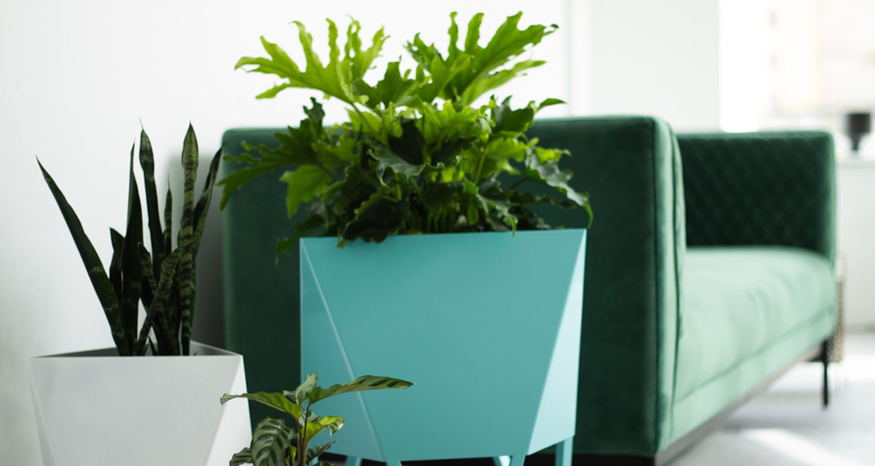 Deca Planter | Mineral by Force/Collide