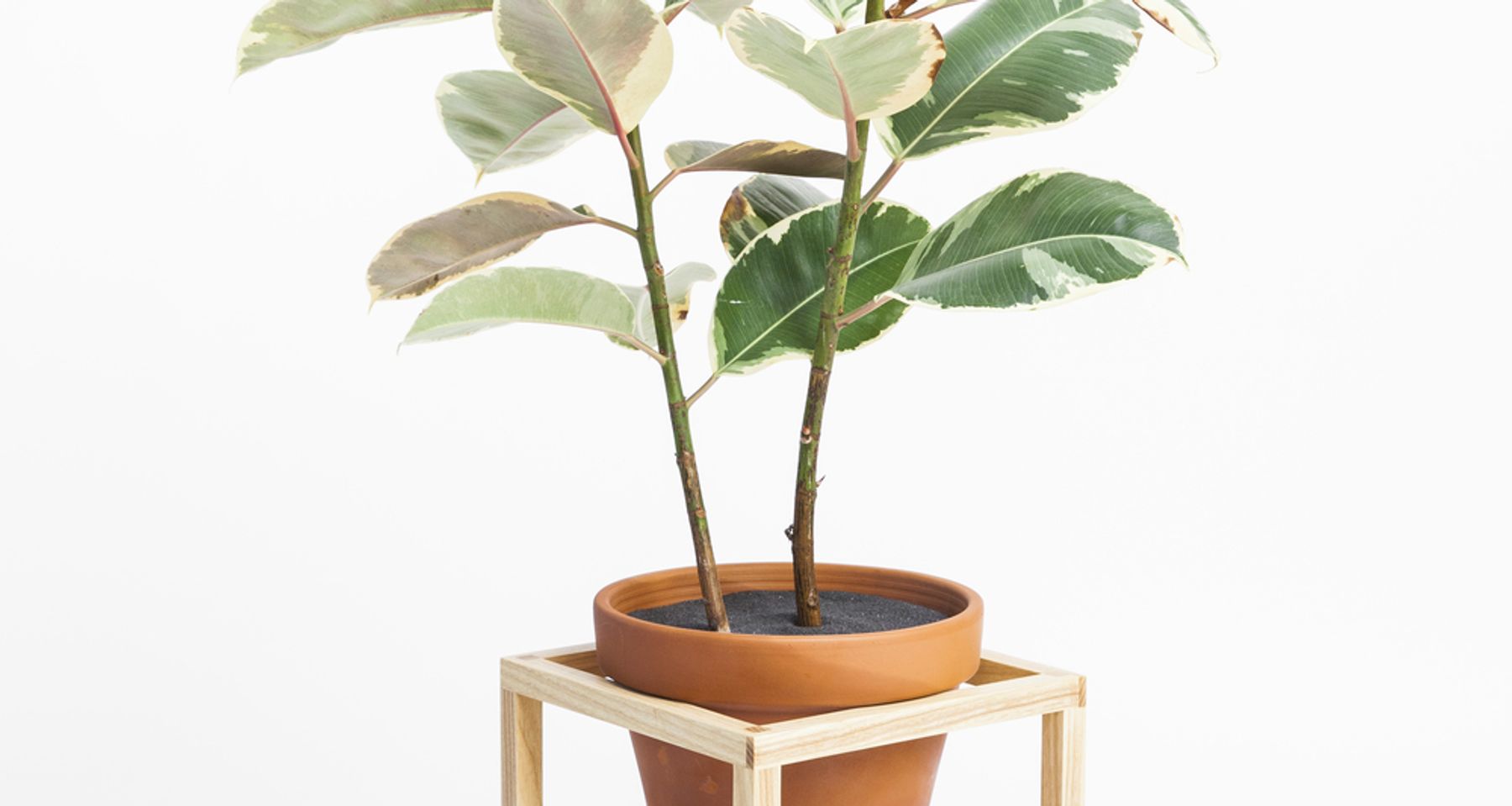 Frame Planter Tall by Trey Jones Studio