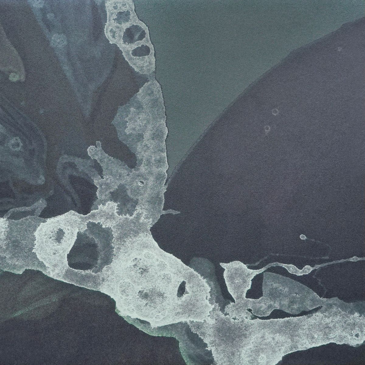 Umbra (Microcosmos Collection)