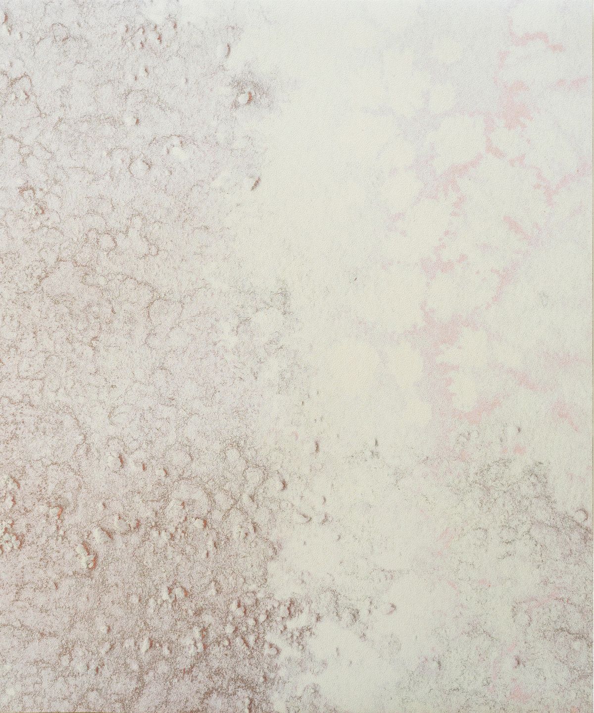 VENUS (Oceania Collection)