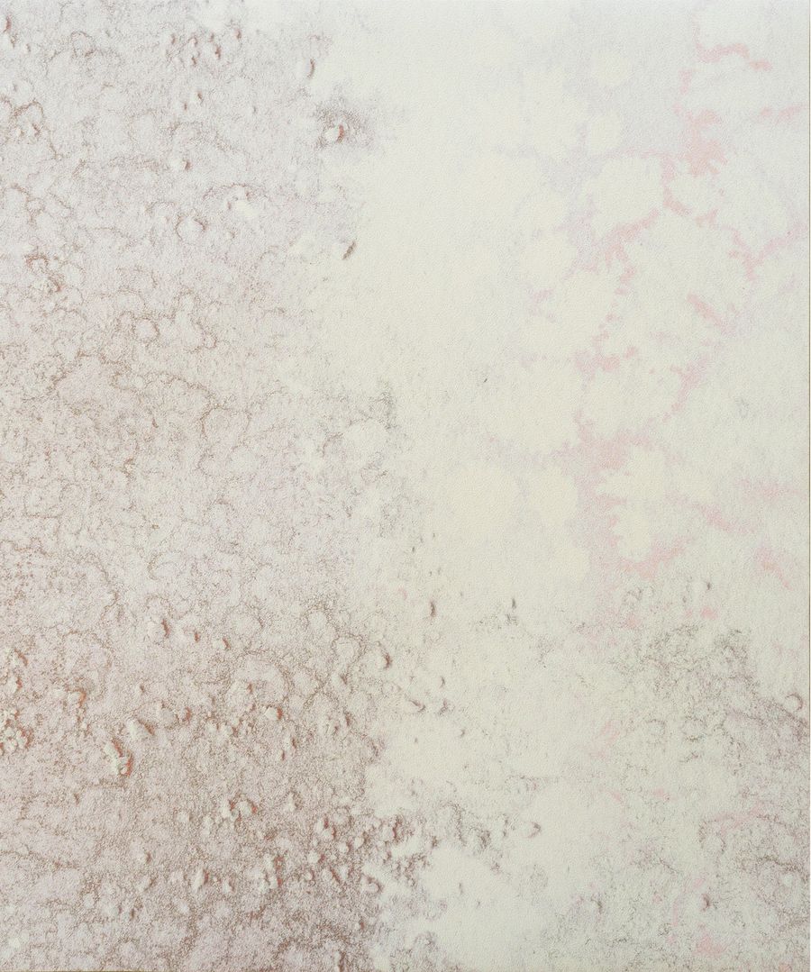 VENUS (Oceania Collection)