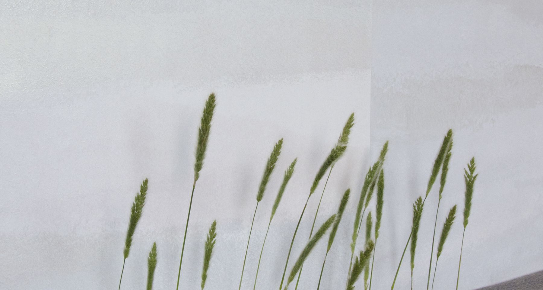 STRIATIONS Collection by SARKOS