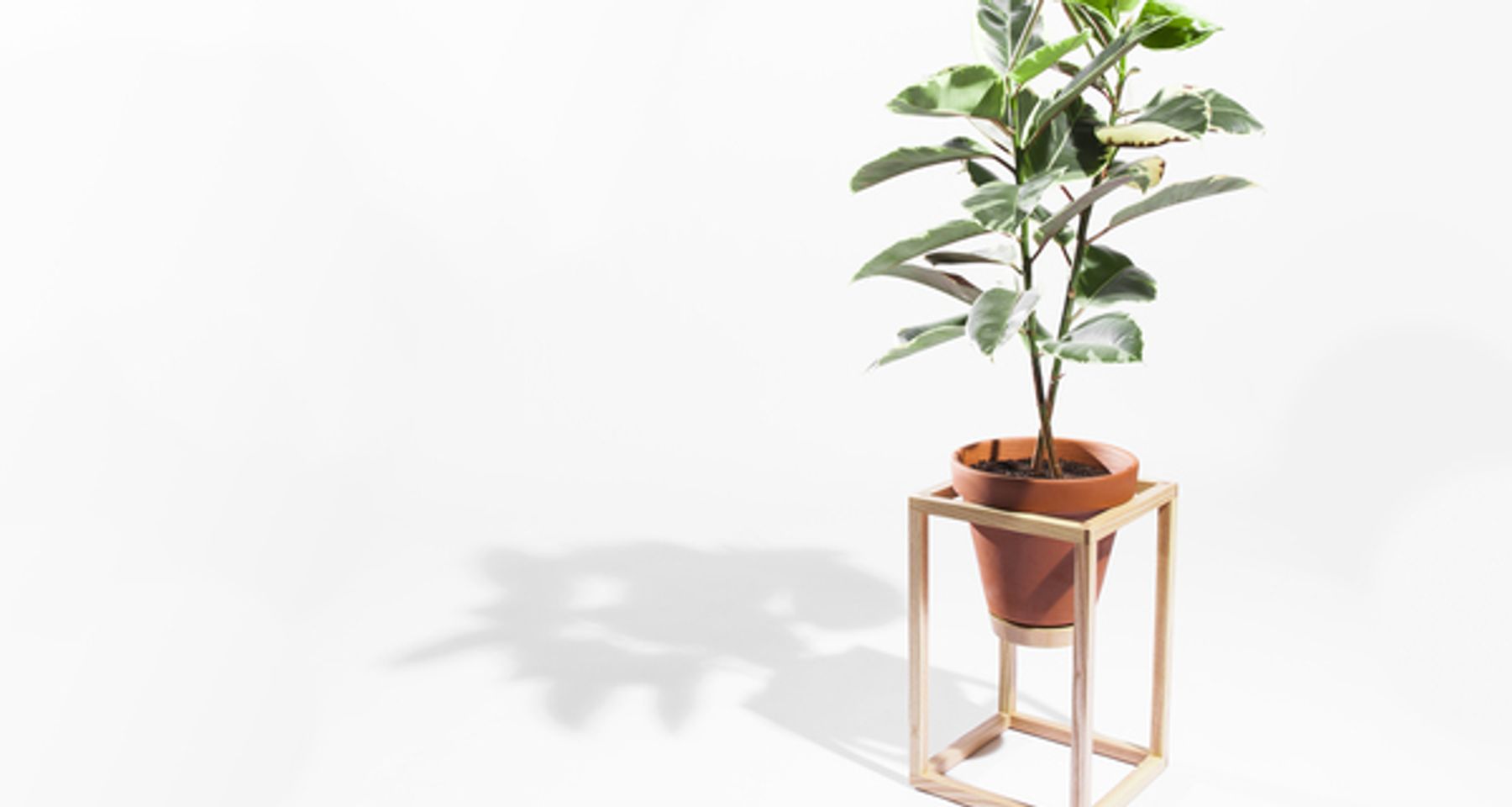 Frame Planter Tall by Trey Jones Studio