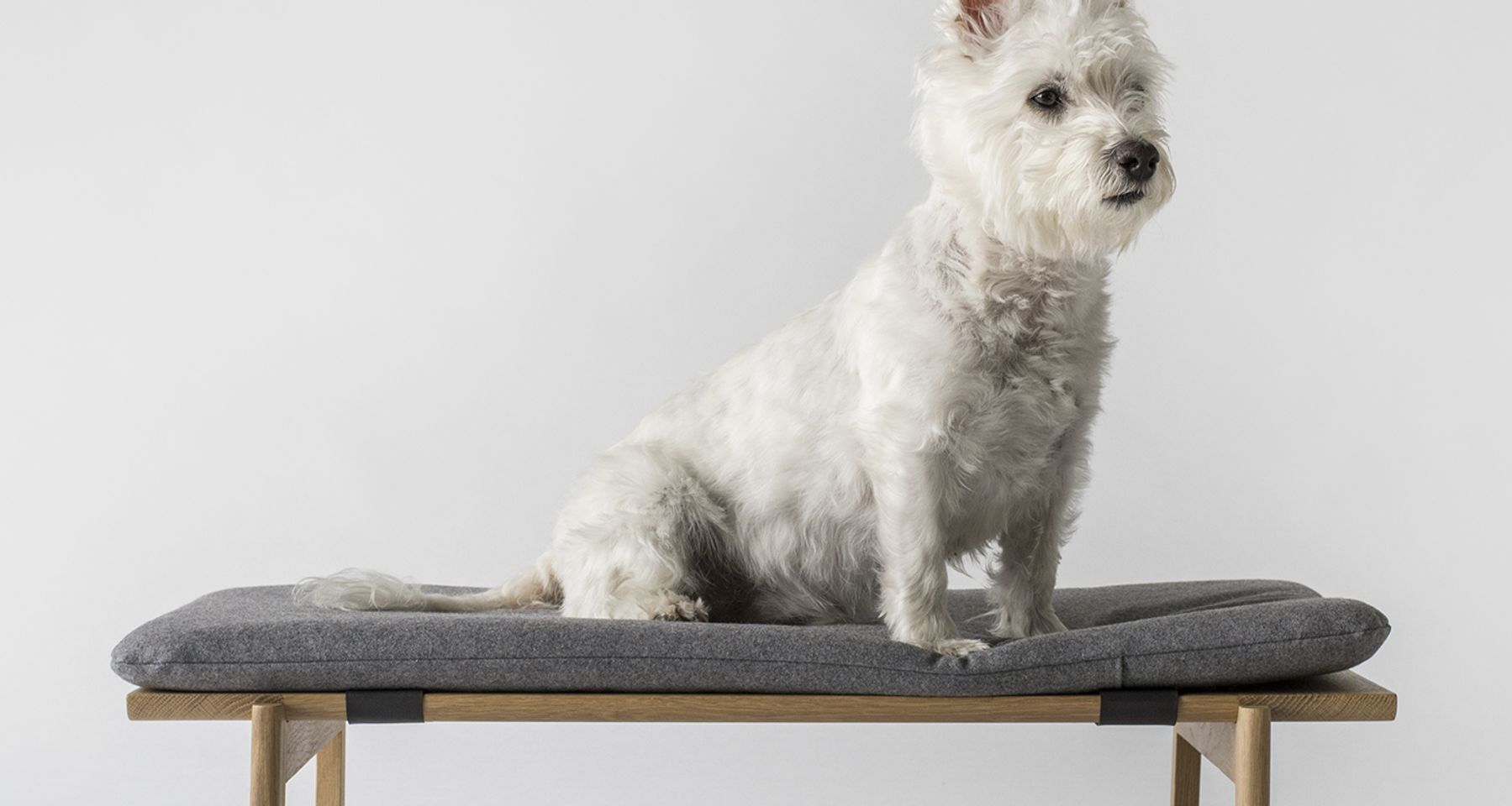 Walden dog bed by KomoLab
