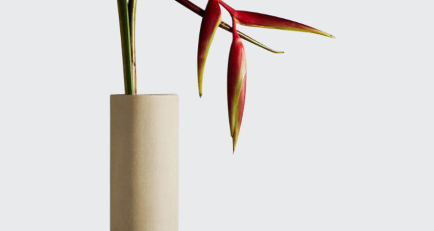 Tava by Light + Ladder