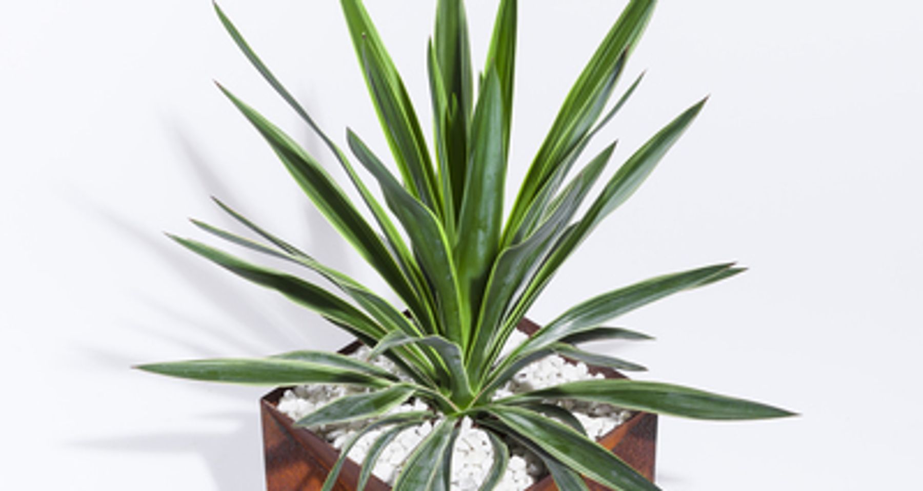 Origami Planter Steel by Trey Jones Studio