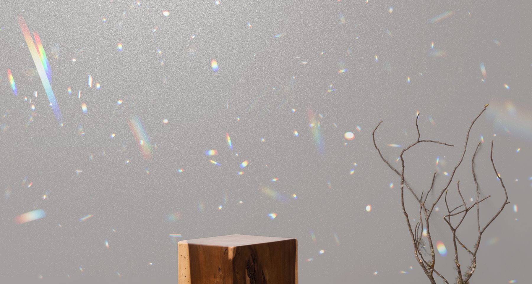 FLARE (Prism Collection) by Calico Wallpaper