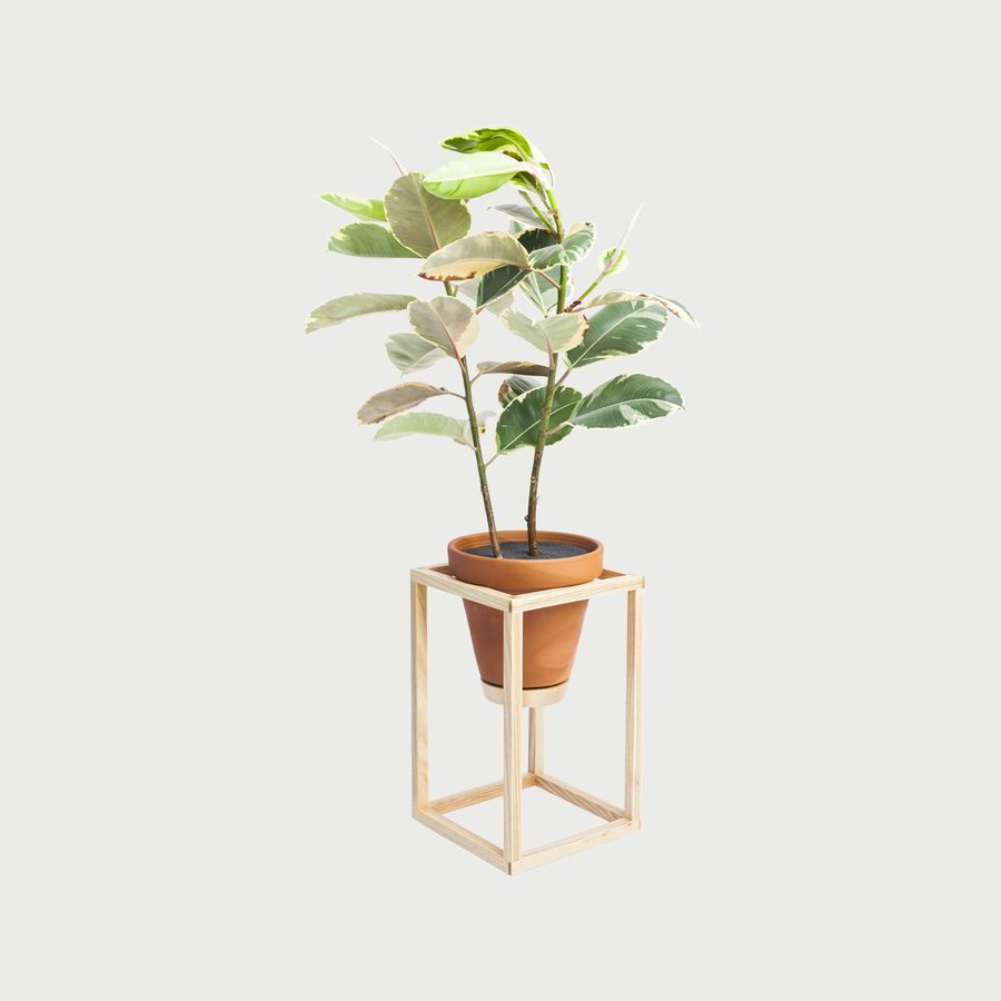 Frame Planter Tall