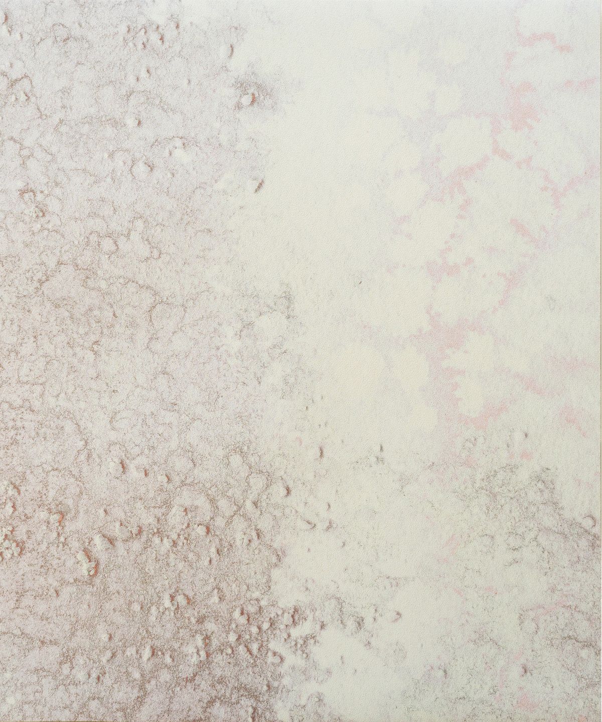 VENUS (Oceania Collection)