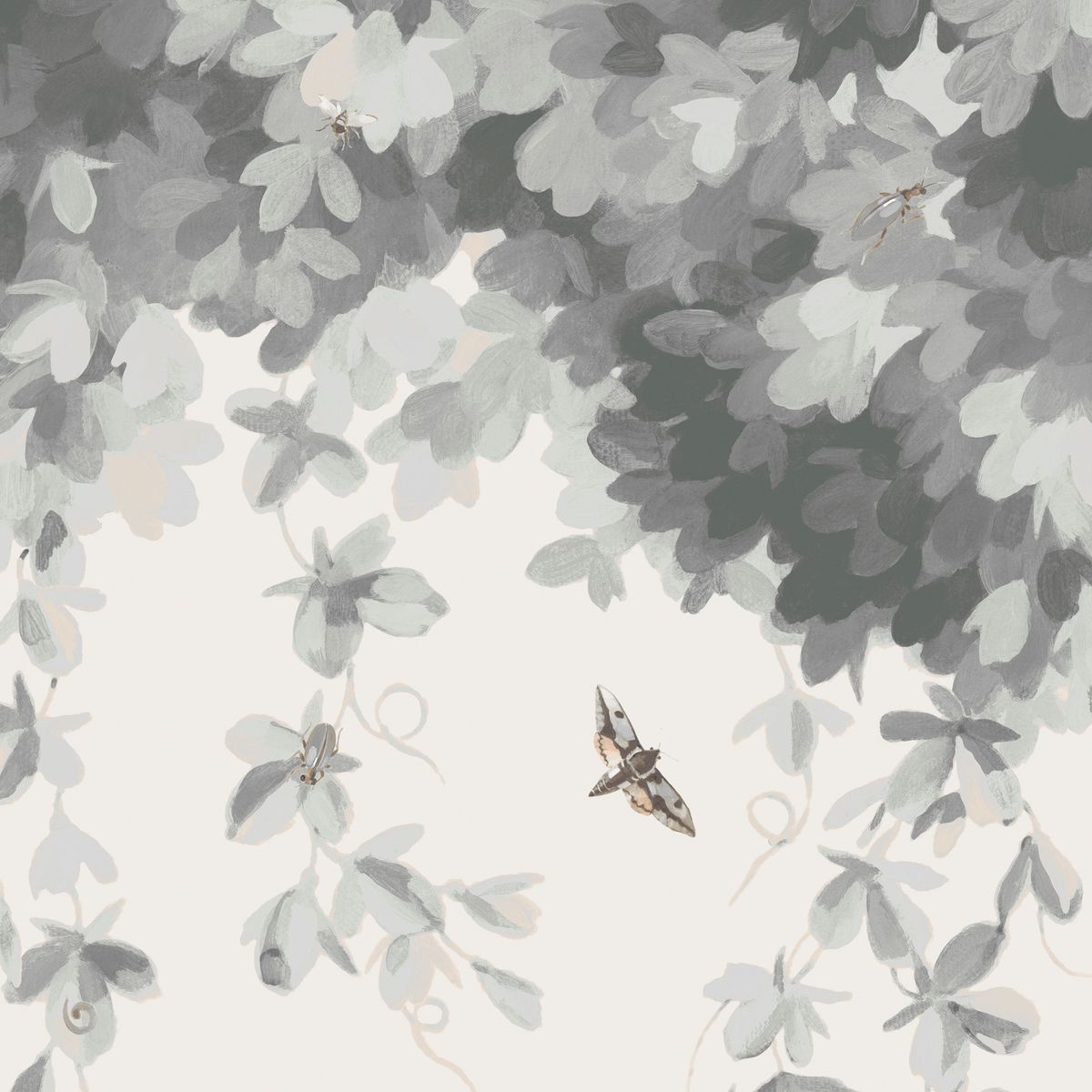 GIULIA (Overgrow Collection)