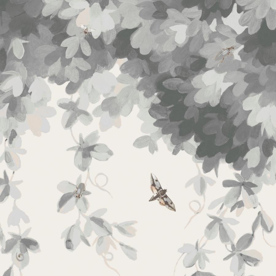 GIULIA (Overgrow Collection)