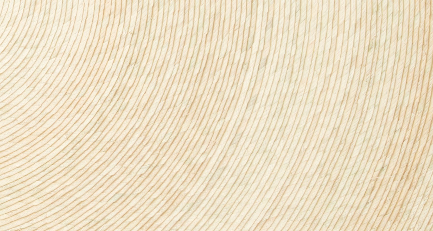 Natural Palm Placemat by MINNA Goods
