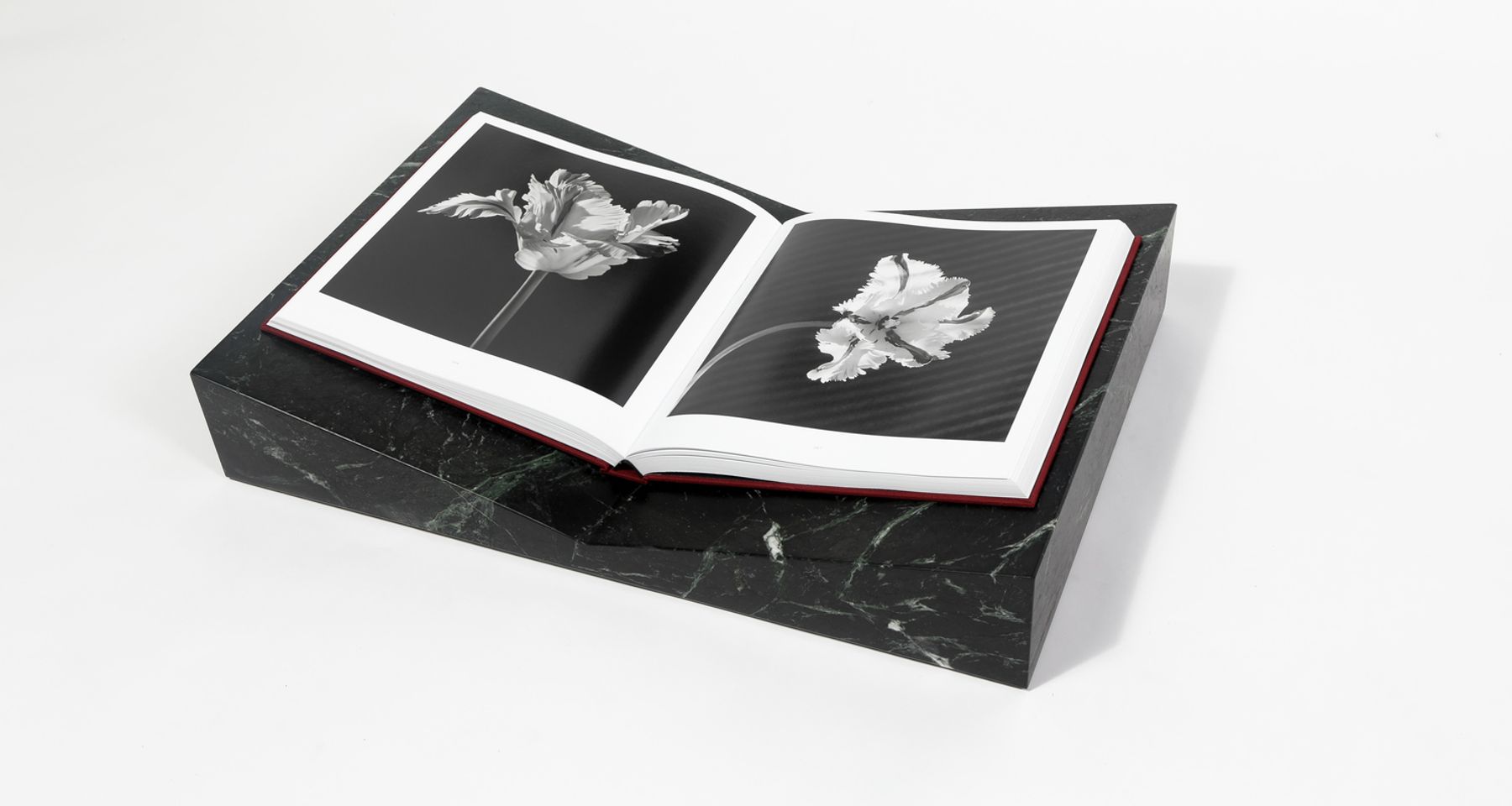 Valley Bookscape - Marble by Trey Jones Studio