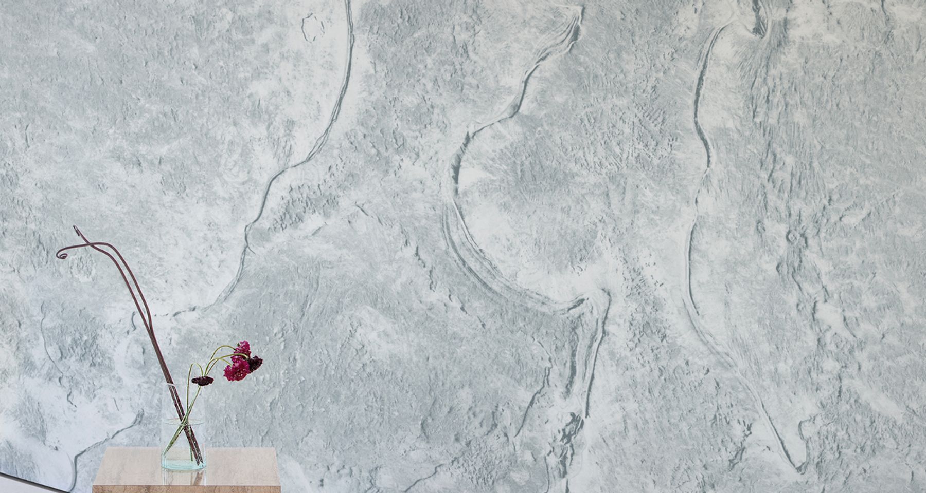 Terra Comet ( Calico ) by Calico Wallpaper