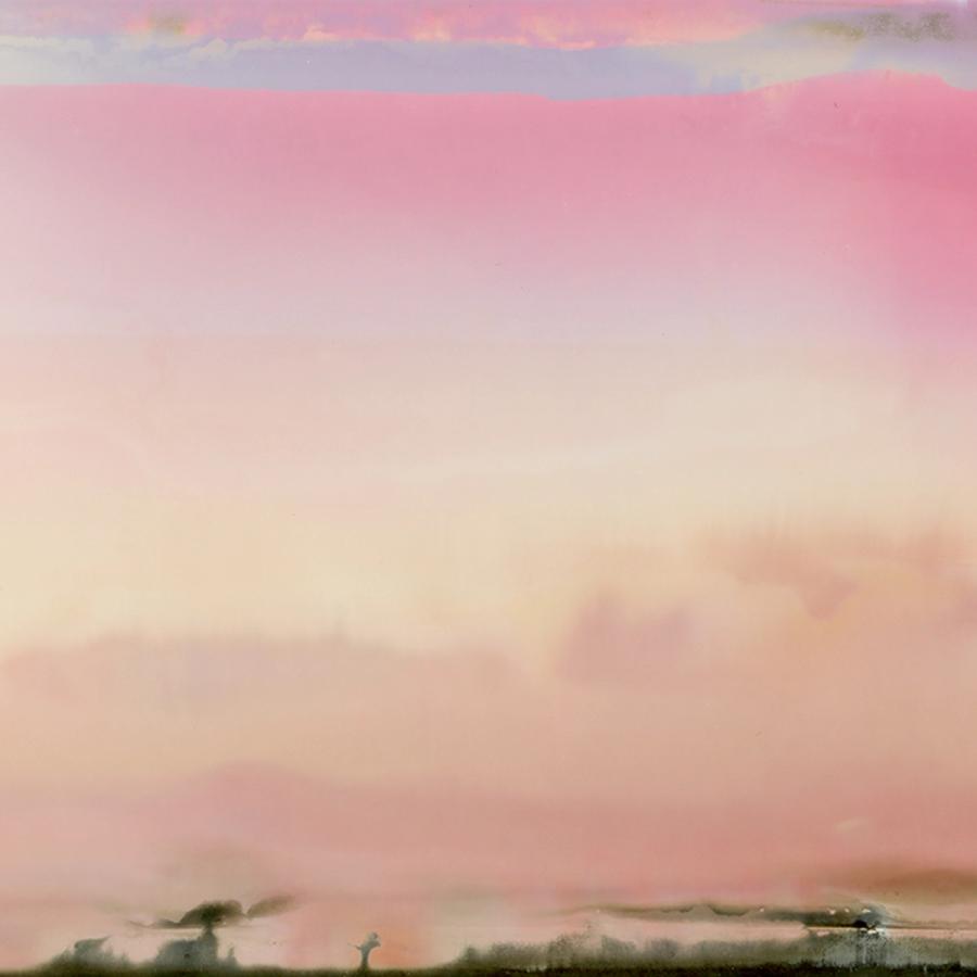 Silver Study N° 8