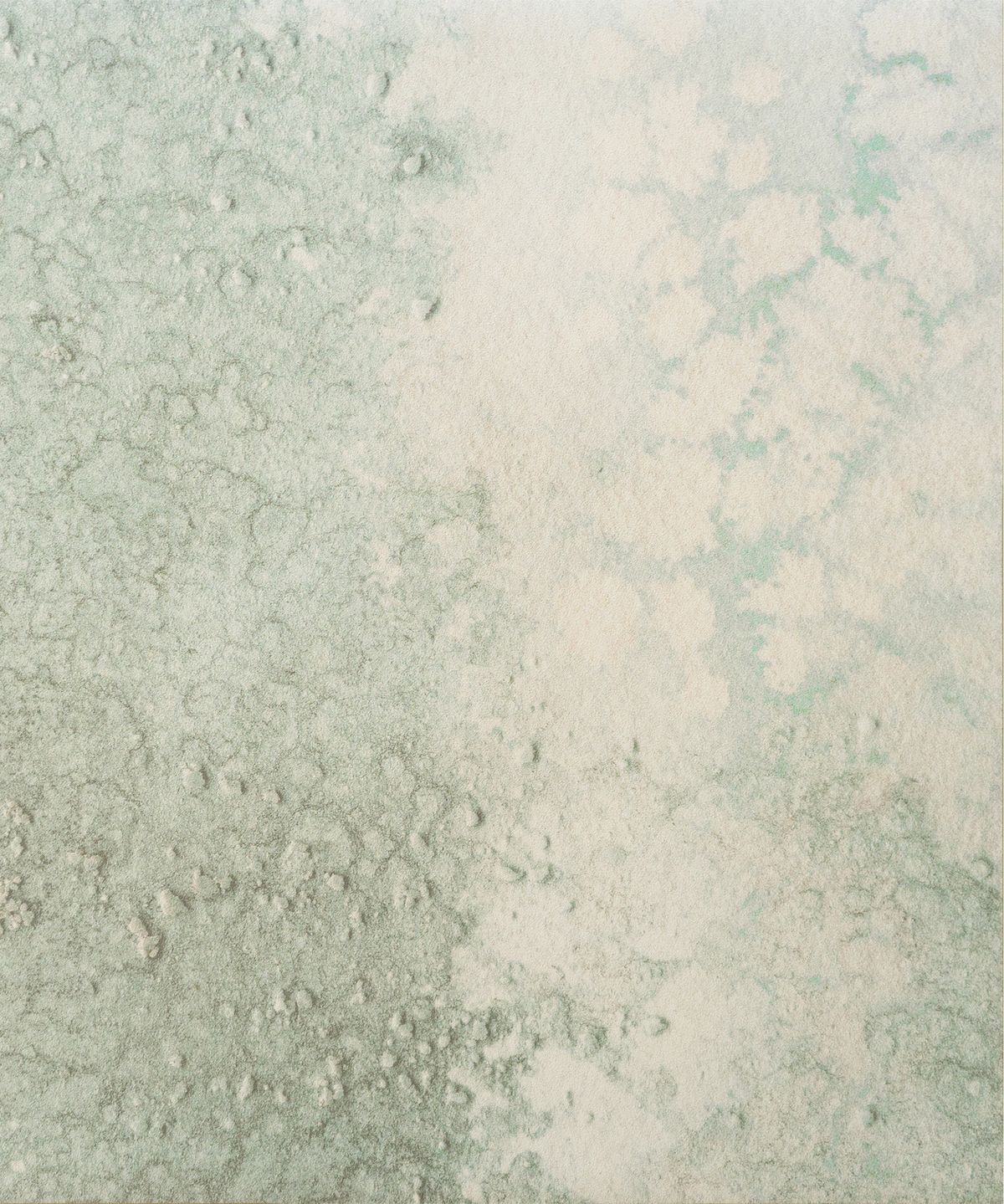 COVE (Oceania Collection)
