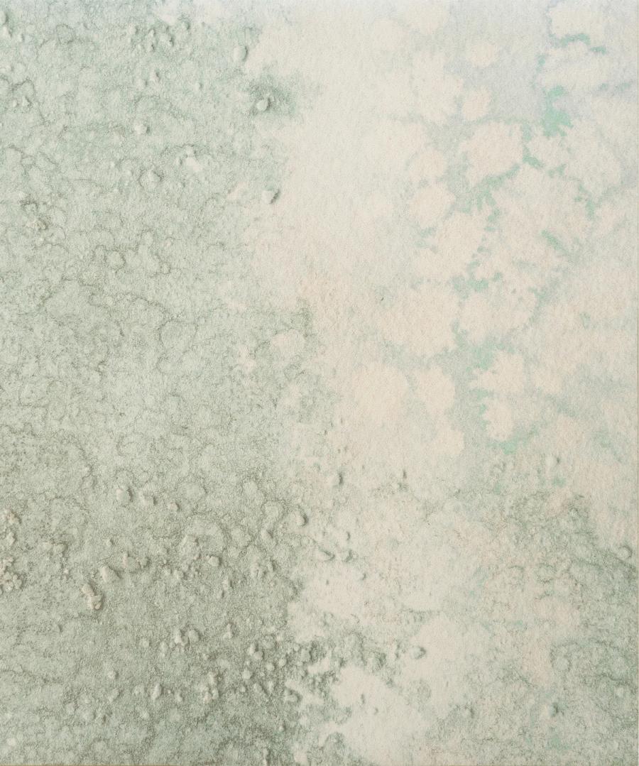 COVE (Oceania Collection)